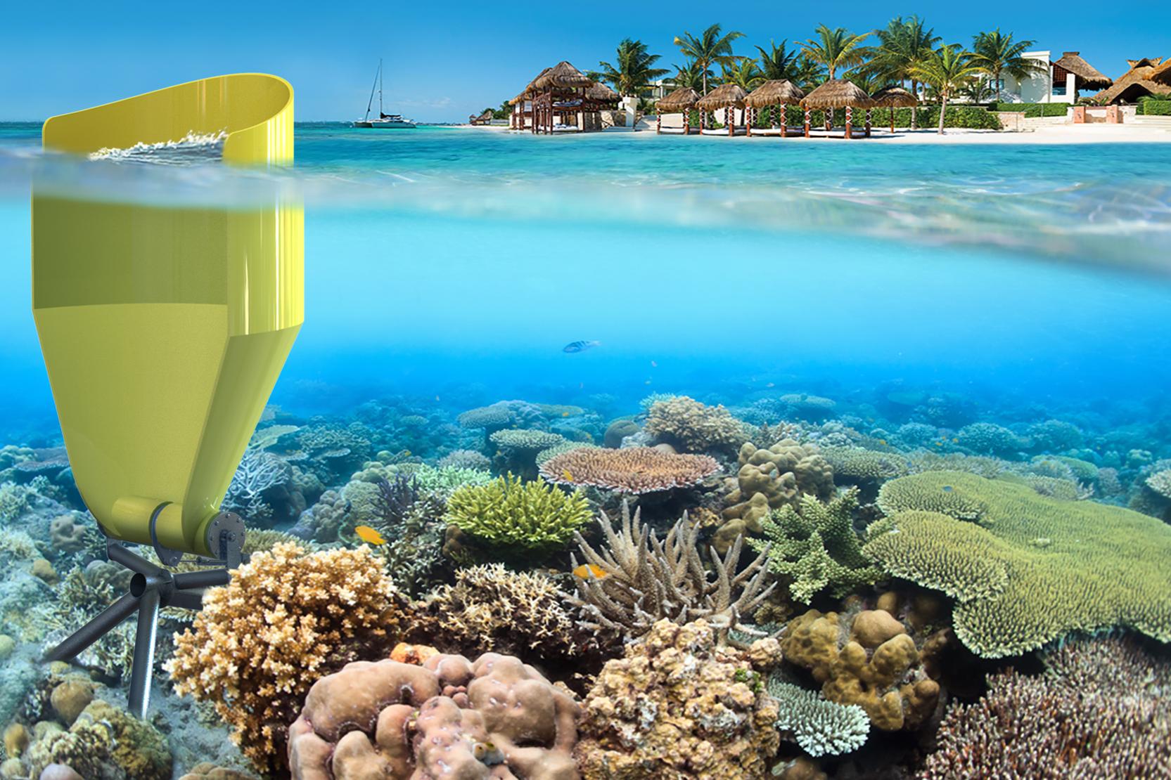 CCell wins Elektra award.jpg