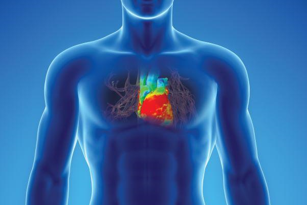 버추얼트윈으로 구현한 인체와 심장.png