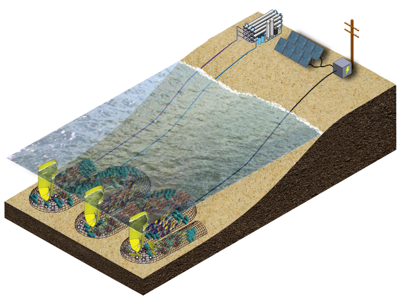 바이코, CCell과 함께 전 세계 해안 침식 대응 솔루션 제시.png