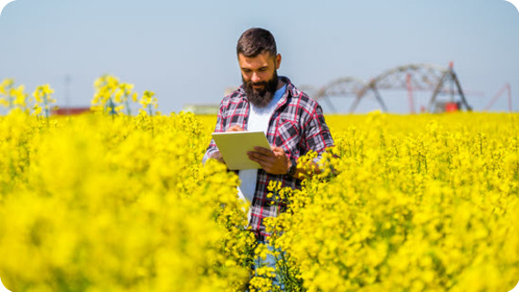 How to Test Open RAN.jpg