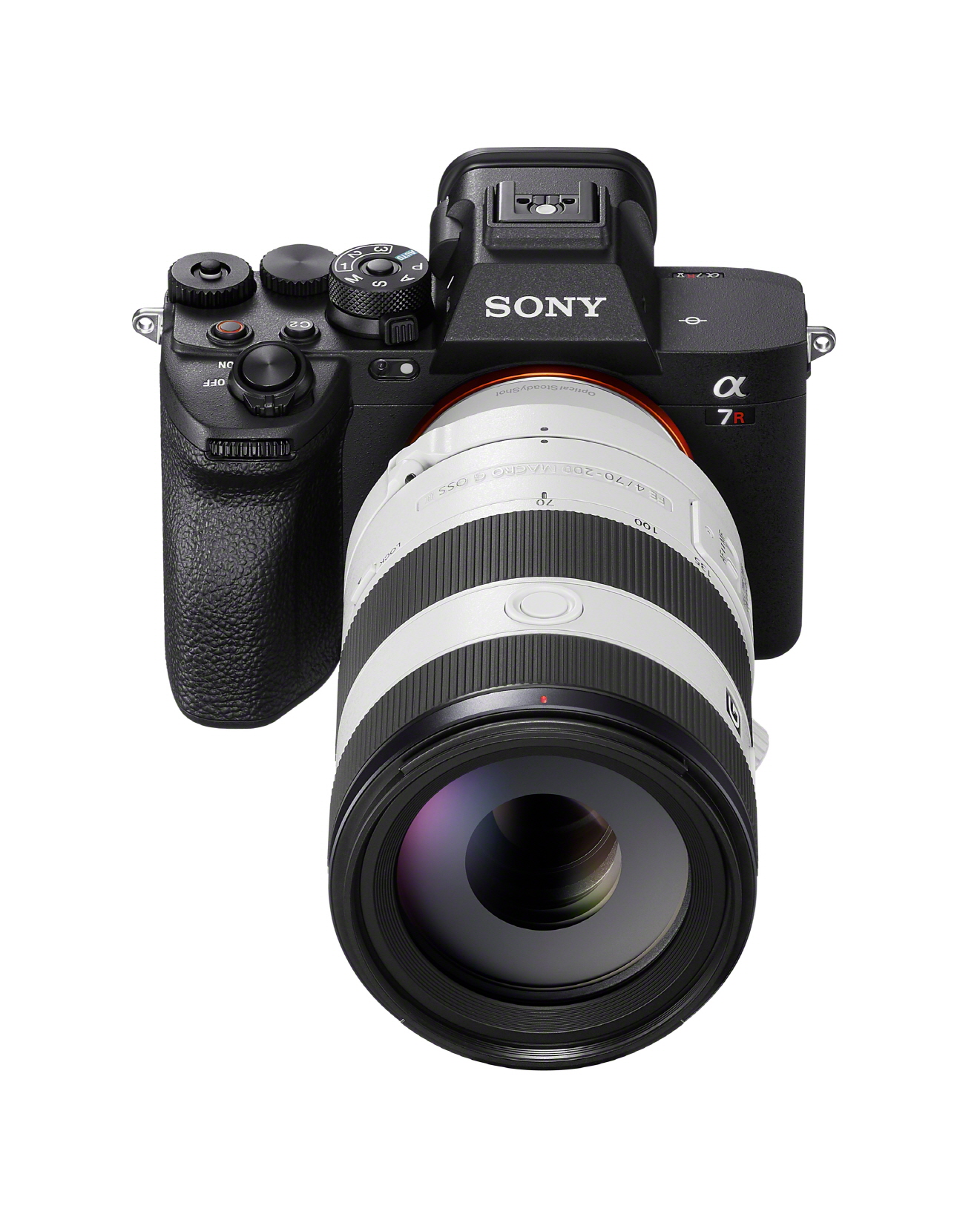 ILCE-7RM5_SEL70200G2.jpg