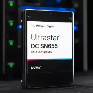 ultrastar-dc-sn655-nvme-ssd-feature1.jpg.wdthumb.319.319 (1).png