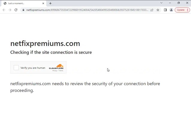 (보충자료 1) 가짜 보안접속 확인 페이지.jpg