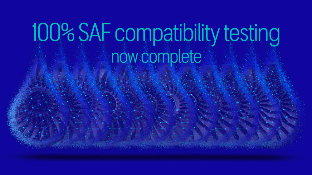 1000100_ SAF 테스트 성공적 완료_1 (1).jpg