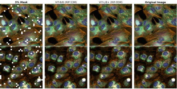 모델 성능을 평가하는 훈련 지표인 이미지 재구성에서 우수한 성능을 보인 페놈-베타 모델.jpg