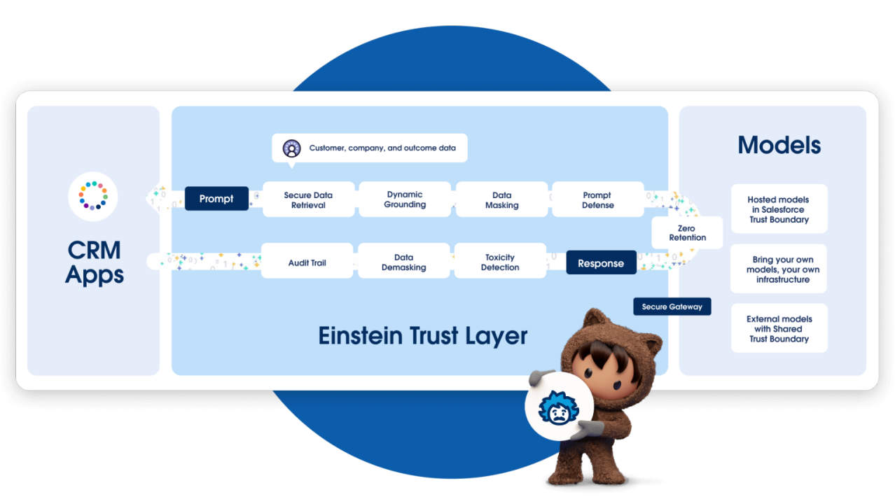 세일즈포스 아인슈타인 트러스트 레이어.png