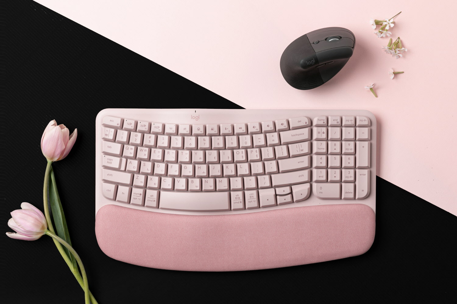 로지텍의 왼손용 인체공학 버티컬 마우스 ‘Lift Left’와 인체공학 웨이브 키보드 ‘Wave Keys Rose Pi.jpg