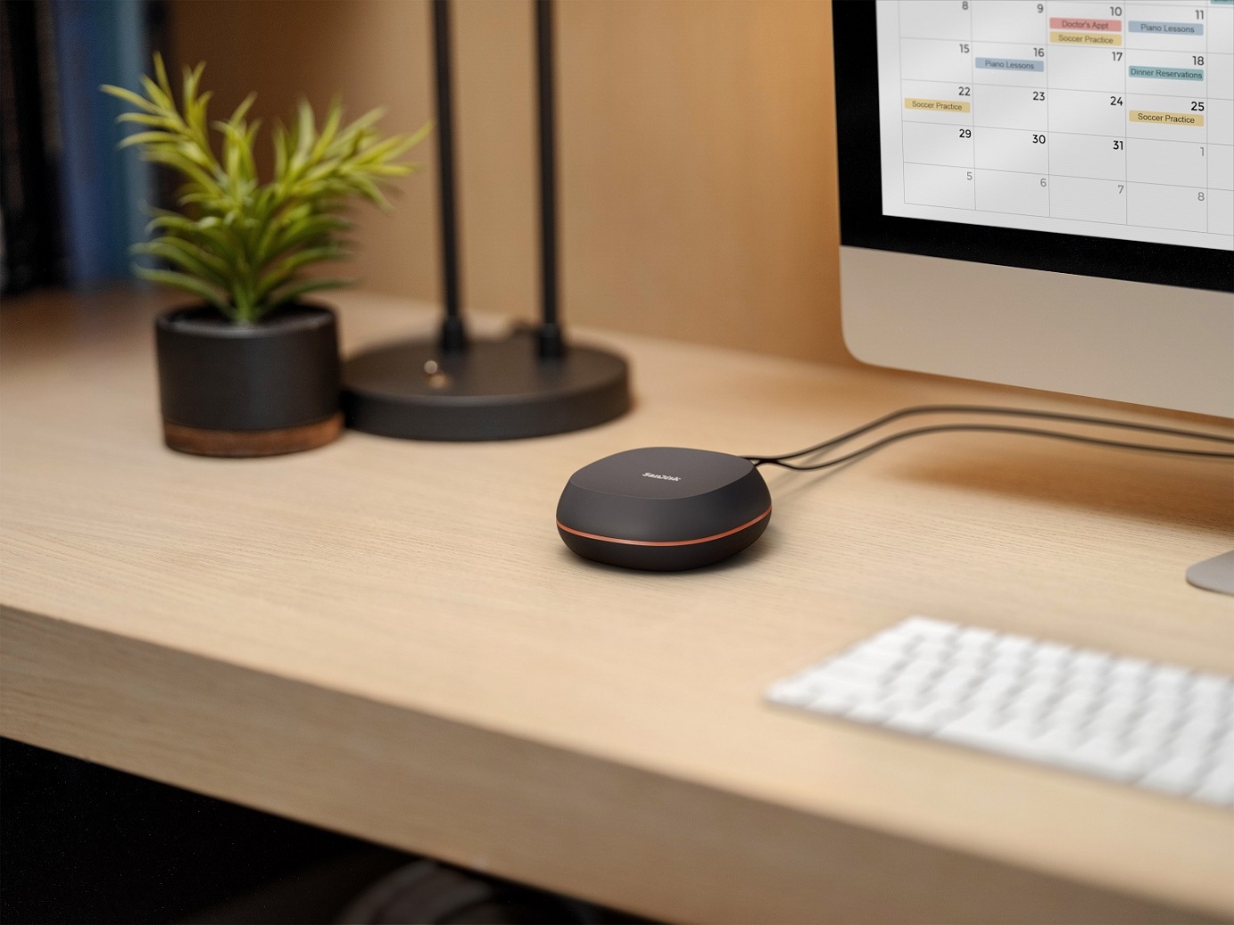 WD, ‘샌디스크 데스크 드라이브’ 출시…“빠른 속도와 강력한 8TB 대용량 지원”.jpg