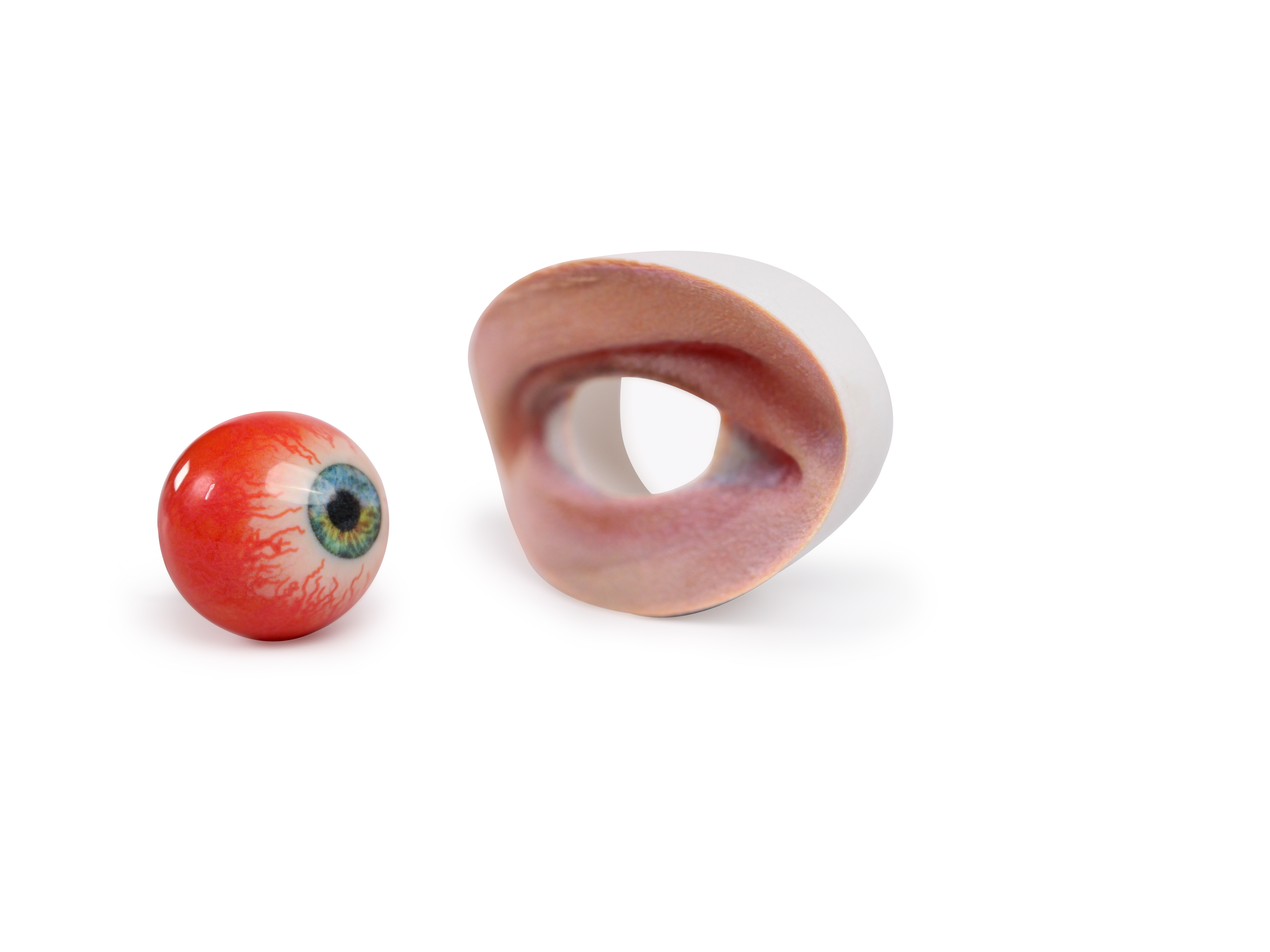 스트라타시스_J5 DAP로 제작된 모델 (눈).jpg