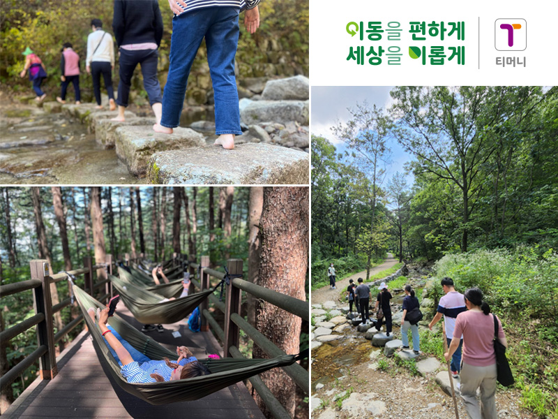 티머니-한국산림복지진흥원, “운수업 스트레스, 티머니와 숲에서 치유해요_”.jpg