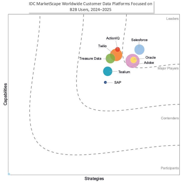 데이터 클라우드 IDC 마켓스케이프 CDP 부문 B2B 영역 리더 선정.jpg.png