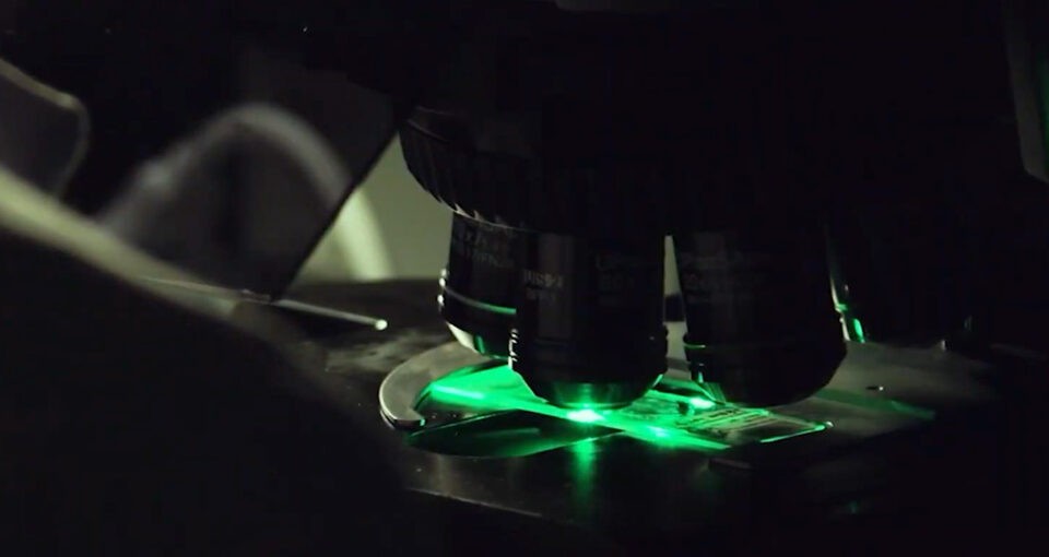 엔비디아, 아이큐비아와 협력해 제약 산업 위한 AI 오케스트레이터 에이전트 가속화.jpg