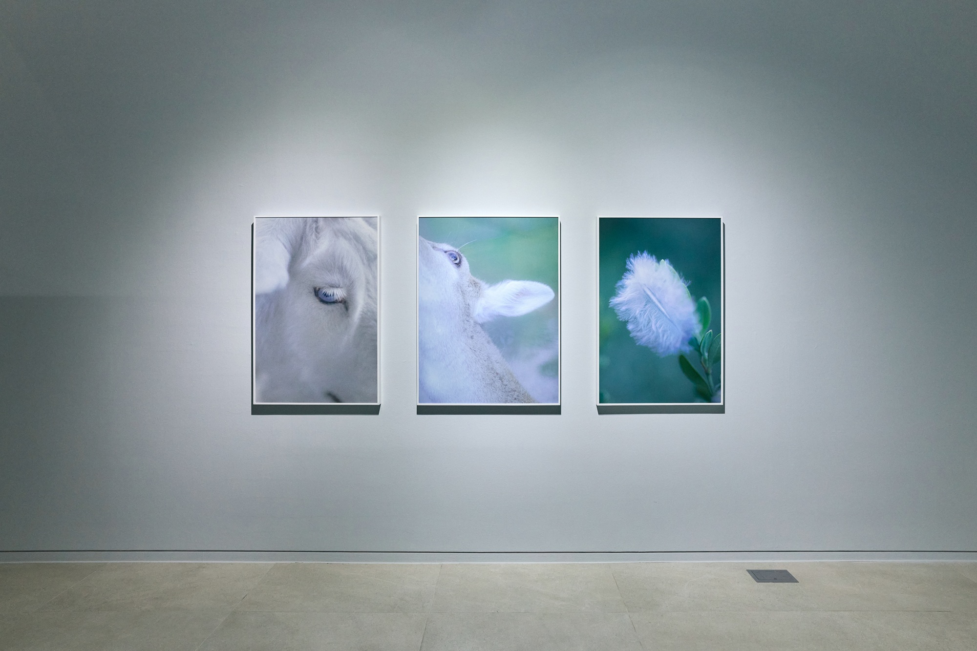 이옥토 작가 개인전 ‘Unlife’.jpg