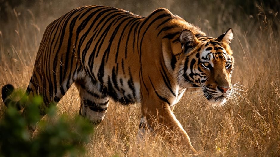 FLUX.2 모델은 놀라울 만큼 사실적인 디테일을 제공한다.jpg