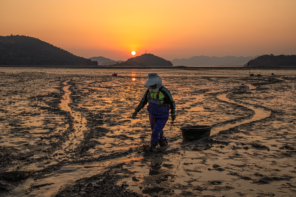 ',한국의 발견', 작품 이미지_전남 고흥군 남양면 중산리.jpg